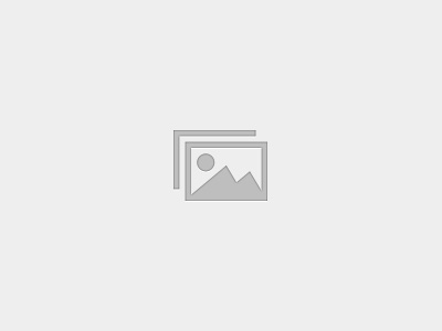 2026 Senior Nationals Referee Certificate